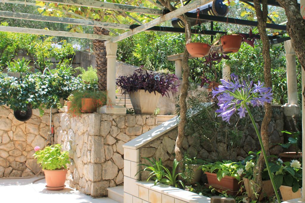 זאטון Apartments And Rooms Villa Mir מראה חיצוני תמונה