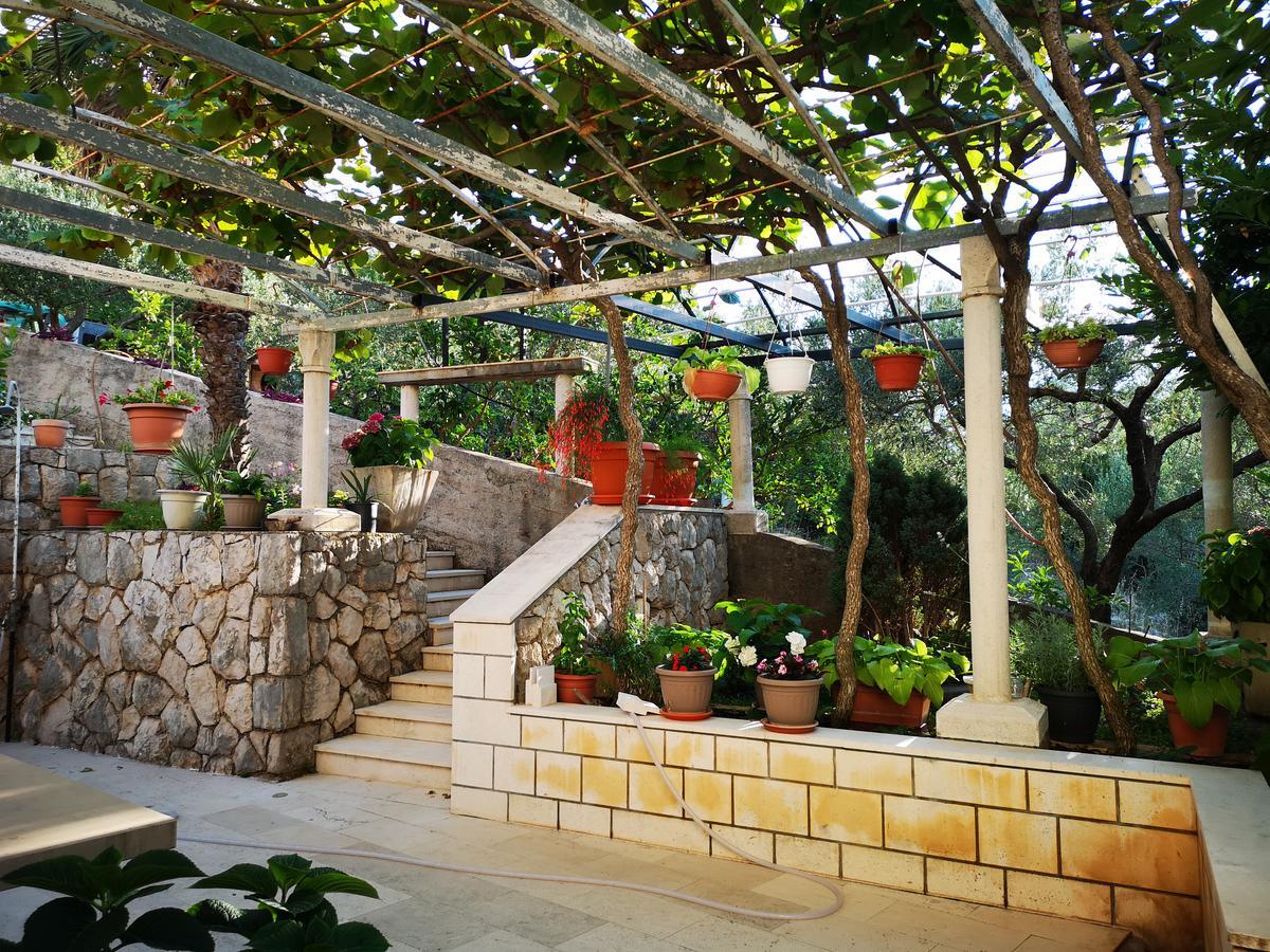 זאטון Apartments And Rooms Villa Mir מראה חיצוני תמונה